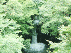 201 松風